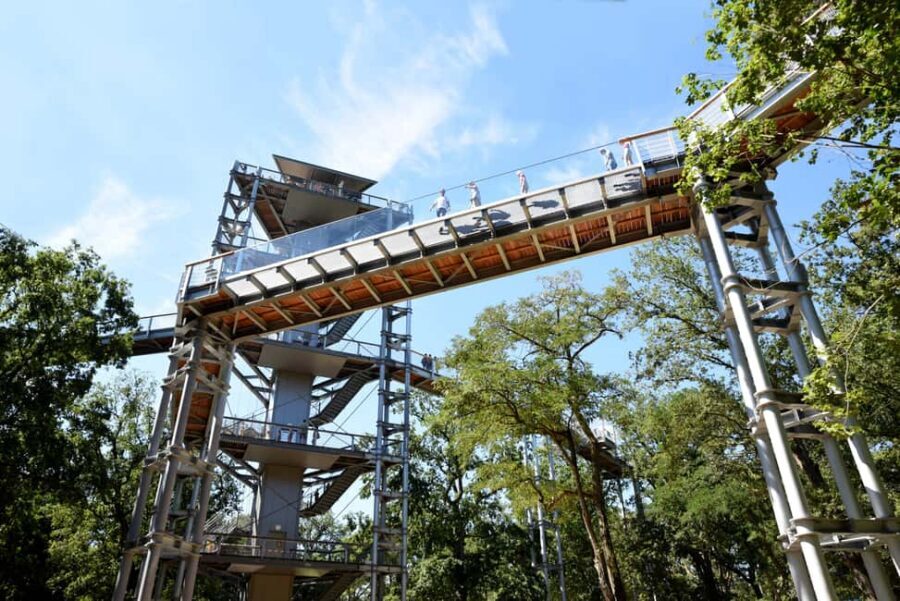 Beelitz-Heilstätten: Baum&Zeit Tree Top Walk Entry Ticket - Getting Oriented at Beelitz-Heilstätten: Start Here Without Stress