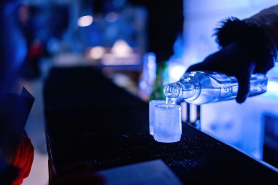 Berlin: Hop-On Hop-Off Bus and Icebar Ticket Combo - When You Switch from Bus Mode to Icebar Mode