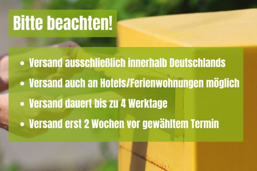 Berlin: Self-Guided Family and School Class Scavenger Hunt - How a mailed scavenger hunt box makes Berlin easier