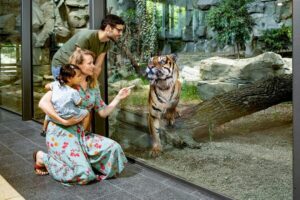 Berlin: Tickets for the Tierpark in East Berlin - Getting there near Alexanderplatz: U-Bahn, tram, and parking