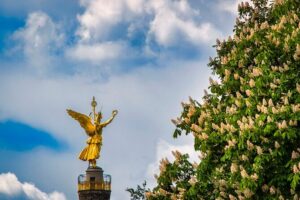 Best of Berlin HopOn HopOff Tour - What’s included on board (and what you’ll need to bring)