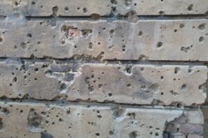 Third Reich Berlin Walking Tour with a French-Speaking Guide - Price and what you’re actually buying for $31.99
